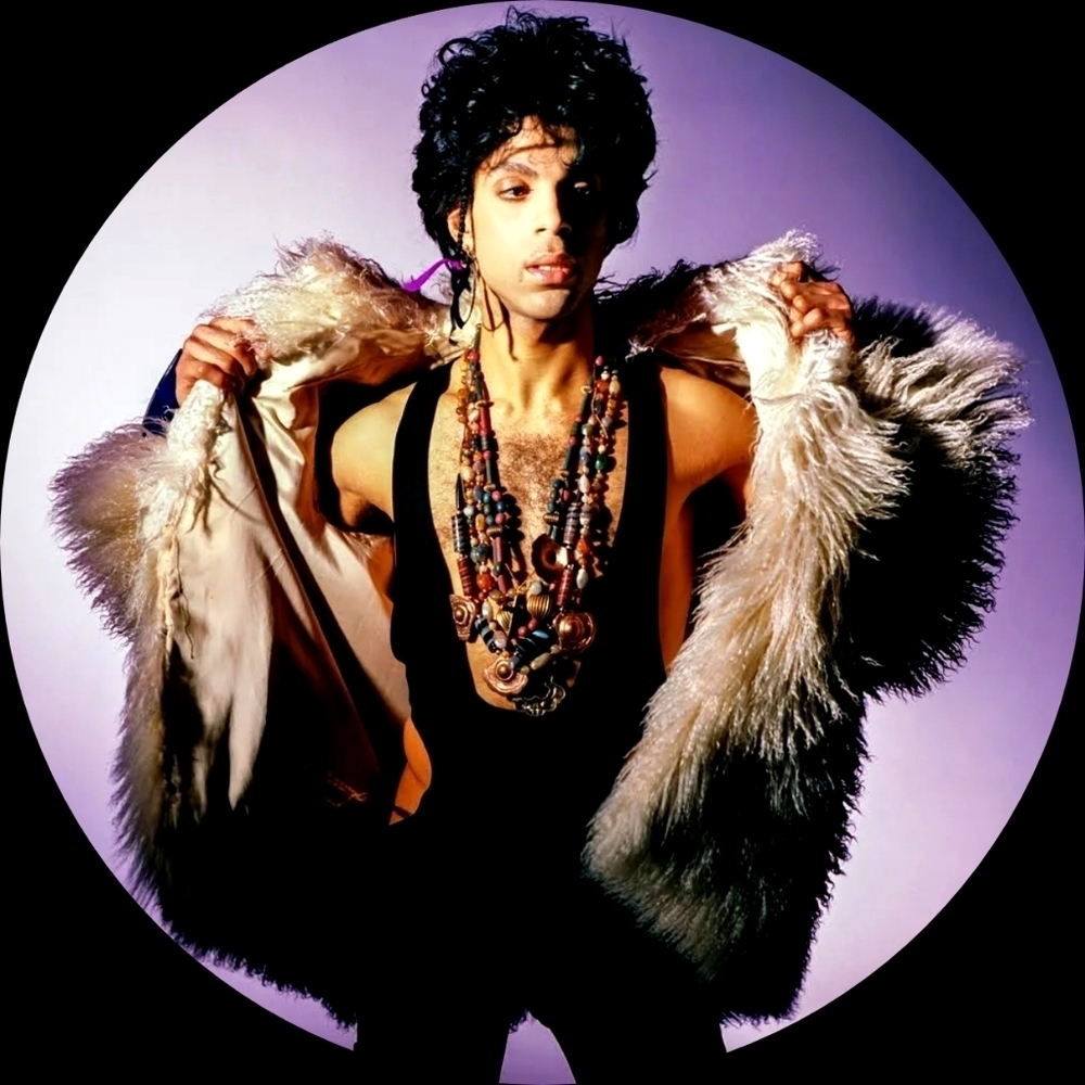 Prince Magnet Set Purple Rain Album - Picture 2 of 4